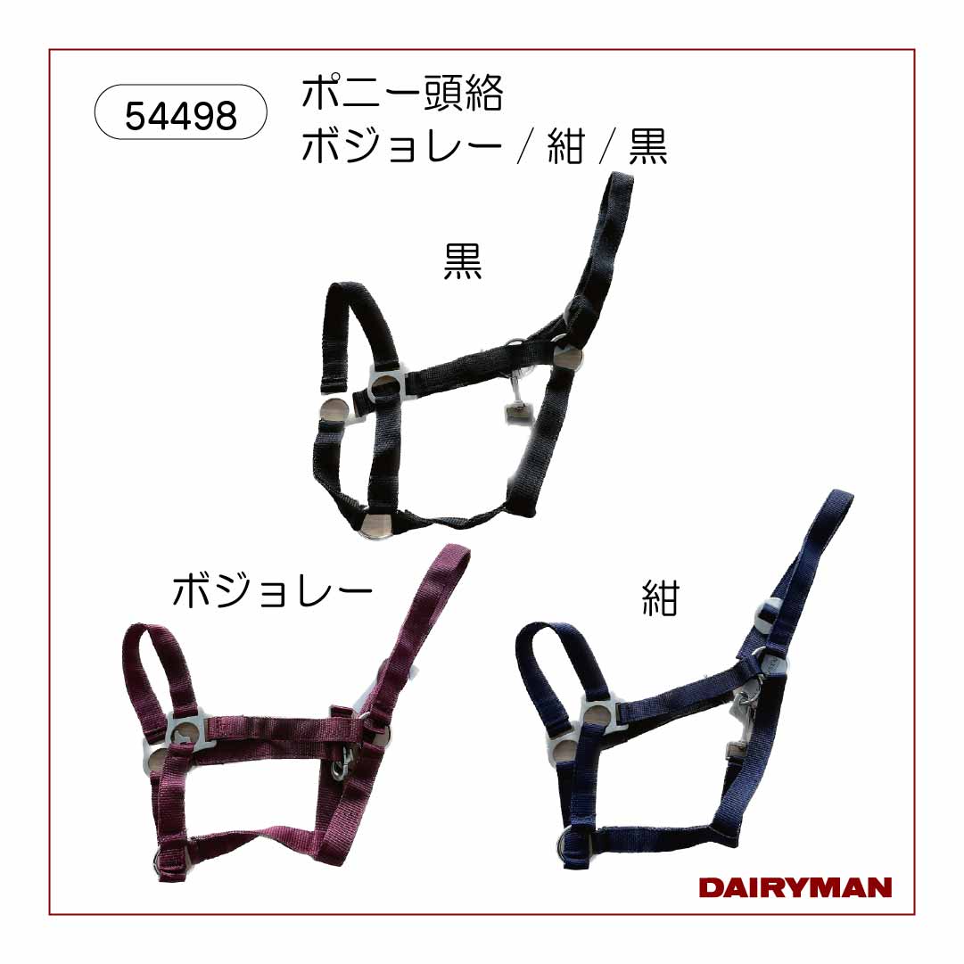 頭絡｜デーリィマン社